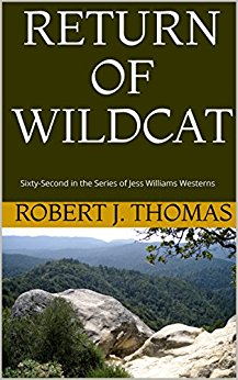 Return of Wildcat